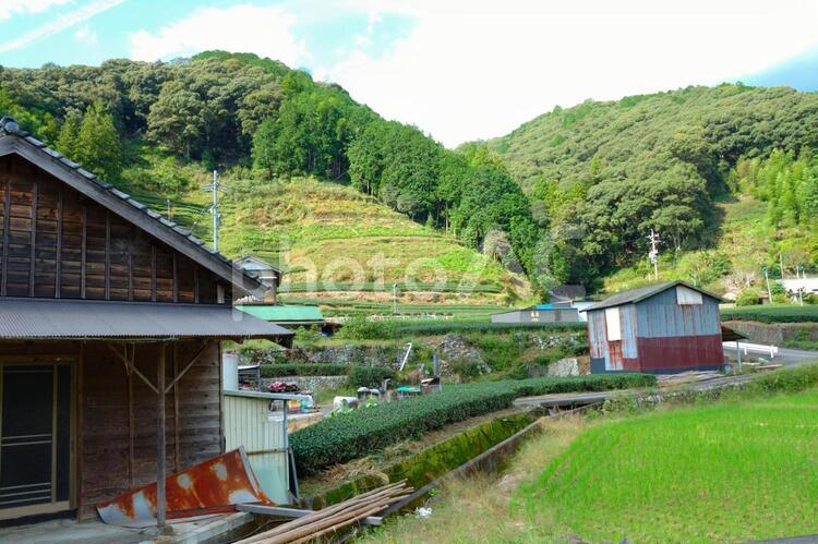 静岡市の里山　秋の農作業小屋 里山,小屋,農作業の写真素材