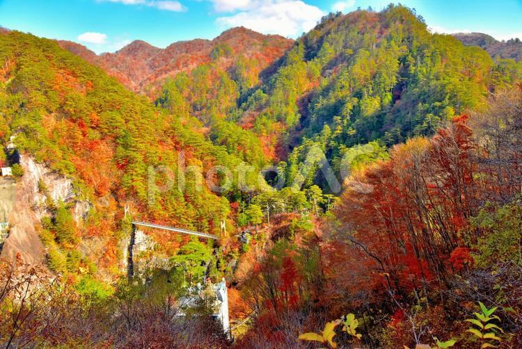 秘境の紅葉（栃木川俣） 紅葉,秋,吊り橋の写真素材