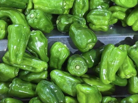 ピーマンの写真