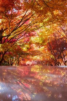 リフレクション紅葉 紅葉,もみじ,秋の写真素材