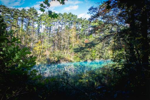 五色沼湖沼群 青沼 五色沼湖沼群 青沼 五色沼,湖沼群,秋の写真素材