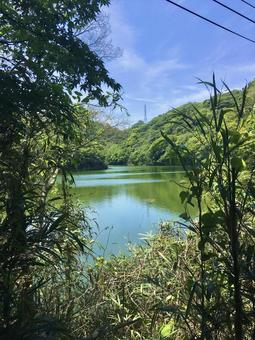 山間部の貯水池 貯水池,ダム湖,湖の写真素材