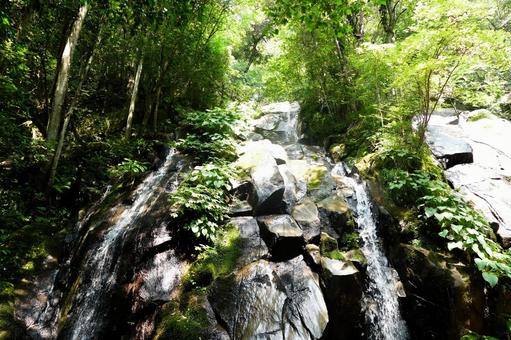 岩肌を流れ落ちる明るい渓流 渓流,渓谷,滝の写真素材