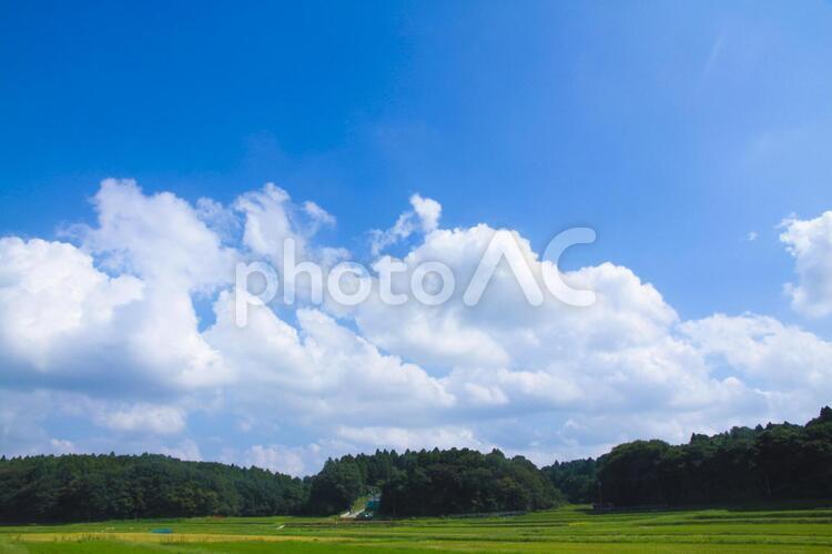 田舎の風景 田舎,夏,雲の写真素材