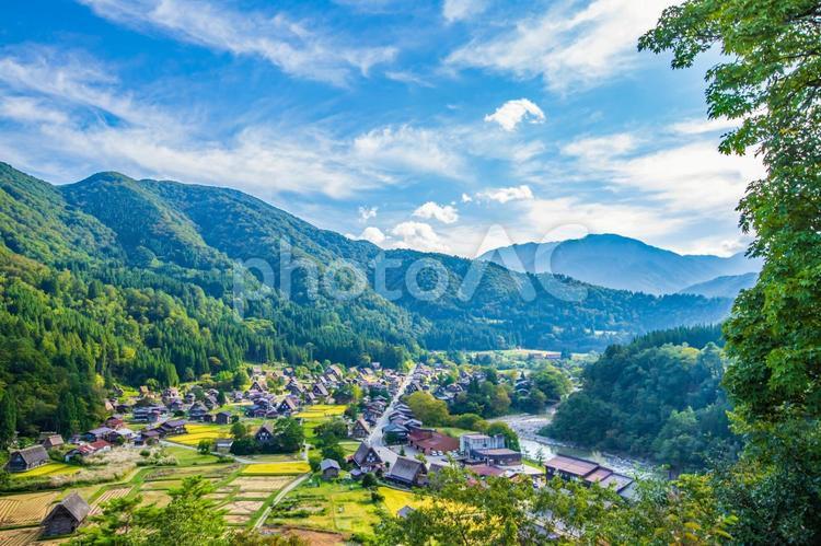 岐阜県　白川郷の風景　 白川郷,岐阜県,風景の写真素材