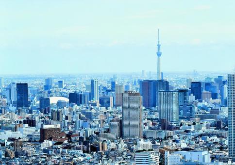 Tokyo streets seen from the Tokyo Metropolitan Government Building, Tokyo Sky Tree and Tokyo's business district, tokio, tokyo sky tree, ulice, JPG