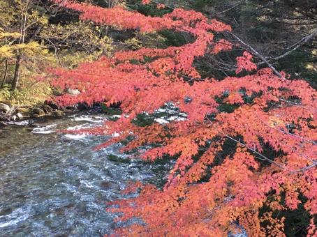 秋の風景 秋の風景の写真