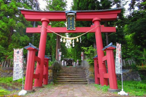 新潟県-関山神社-鳥居と参道 関山神社,神社,鳥居の写真素材