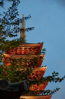 塔 塔の写真