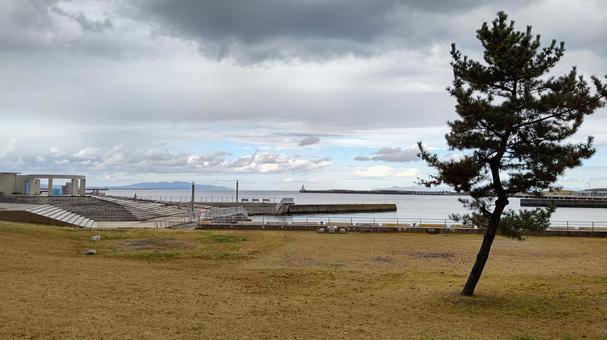 青い海公園5 青い海公園5 海,曇り空,木の写真素材