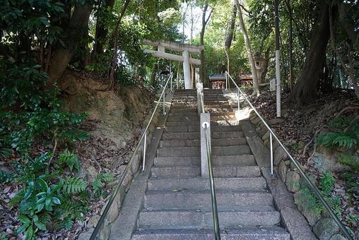 パワースポット宝塚市 鹿塩熊野神社④参道 パワースポット宝塚市 鹿塩熊野神社④参道の写真