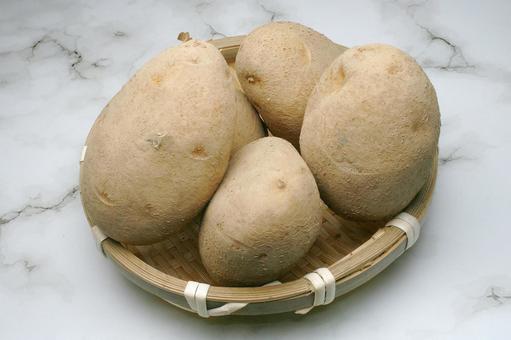 じゃがいも-23の写真