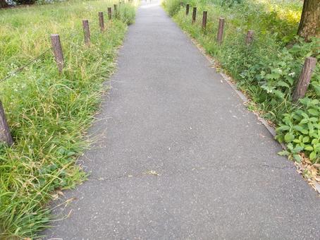歩道 歩道の写真
