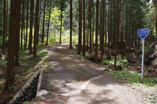 中沢林道（東京都八王子）の写真