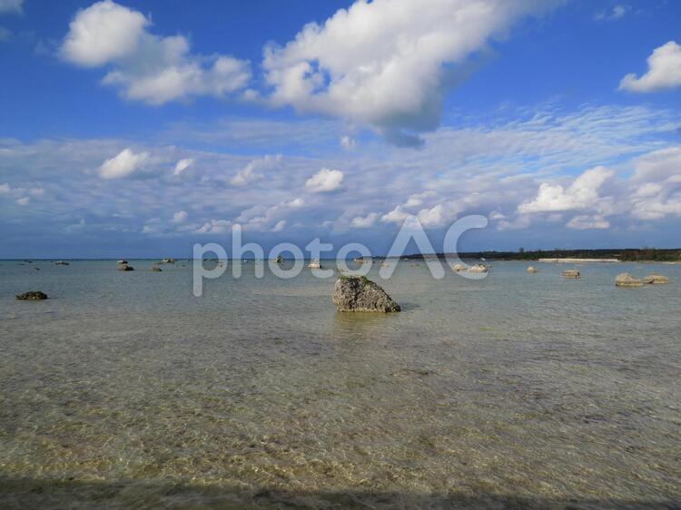 佐和田の浜 佐和田の浜,ビーチ,砂浜の写真素材