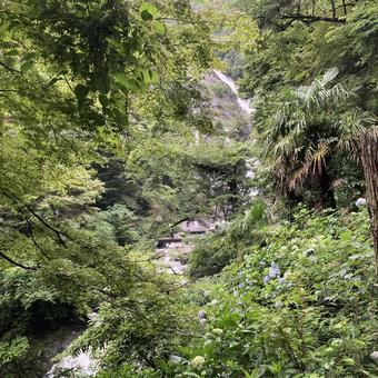 Photo, tangjin city, saga prefecture, waterfall, 