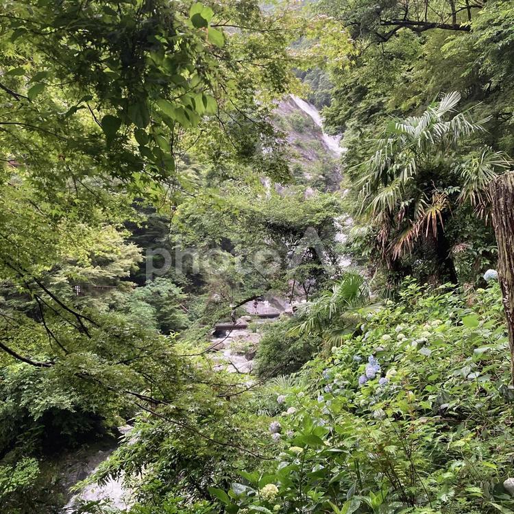 日本百選、見帰りの滝 唐津市,佐賀県,見帰りの滝の写真素材