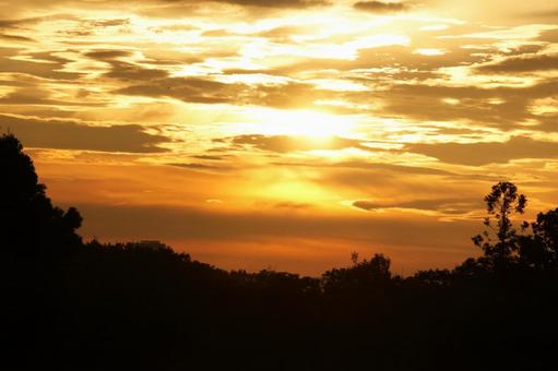 夕空 夕空の写真