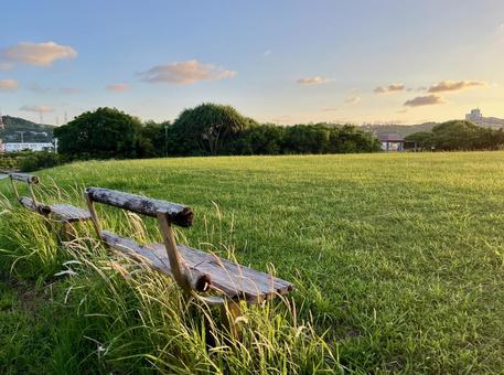 朝のベンチ 朝のベンチ 朝日,公園,自然の写真素材