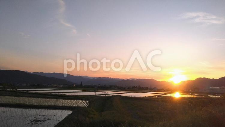 田んぼの風景 田植え前,夕日,夕陽の写真素材