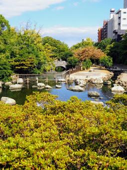 初秋の仙台堀川公園・日本風庭園(江東区) 初秋の仙台堀川公園・日本風庭園(江東区)の写真