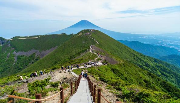遊歩道を歩く人達 遊歩道を歩く人達の写真