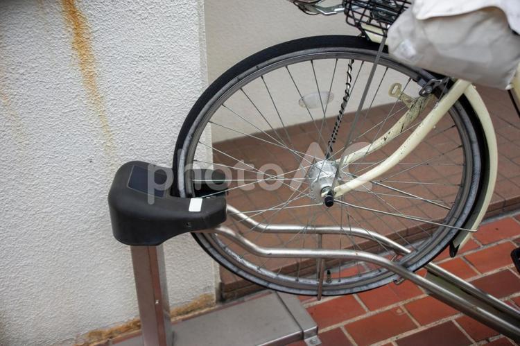 駐輪ラックに差し込まれた自転車の前輪 自転車,屋外,乗り物の写真素材
