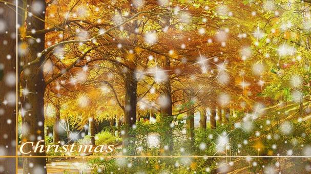 クリスマスロード4 クリスマス,サンタクロース,ツリーの写真素材