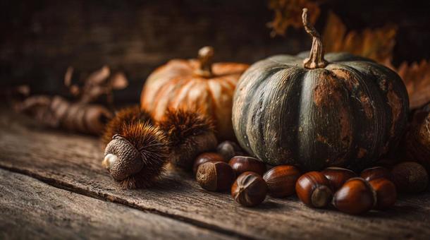 かぼちゃと秋の実りテーブル かぼちゃと秋の実りテーブルの写真