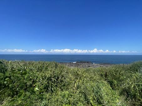 福井県坂井市三国町安島 福井県坂井市三国町安島 福井県,坂井市,三国町の写真素材