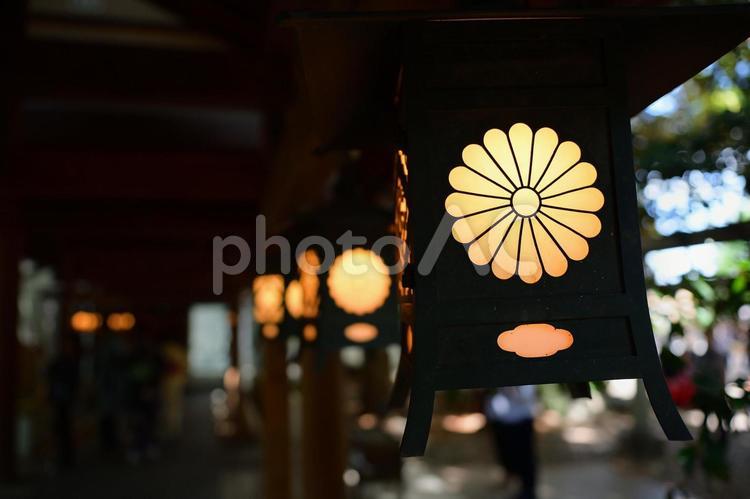 小物　行燈 小物,行燈,神社の写真素材