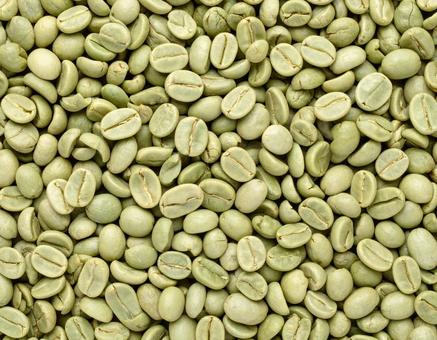 生豆のコーヒー豆の写真