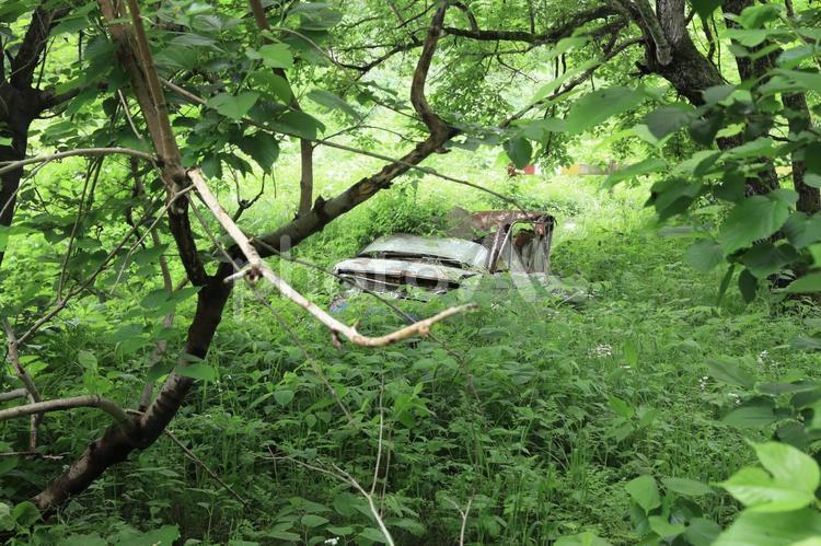 山林に放置され、朽ちる廃車 廃車,車,自動車の写真素材