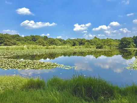 見沼自然公園 見沼自然公園 風景,公園,空の写真素材