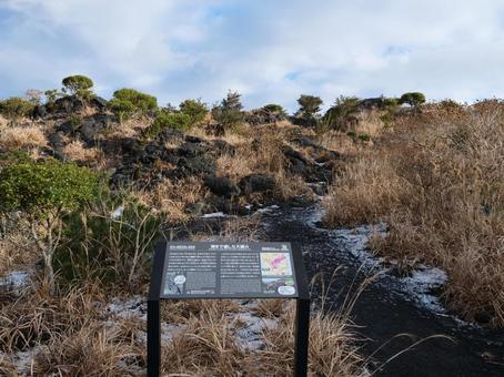 三原山 溶岩 三原山 溶岩 三原山,火山,お鉢巡りの写真素材