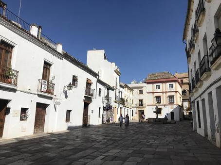 スペイン(コルドバ) スペイン(コルドバ) コルドバ,スペイン,海外の写真素材