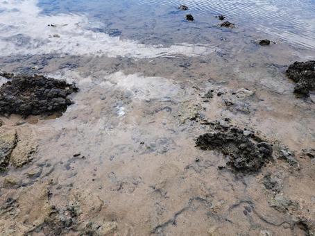 引き潮の海 奄美 引き潮の海 奄美の写真