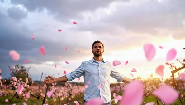 風に舞う花びらと男性のポートレート 風に舞う花びらと男性のポートレートの写真