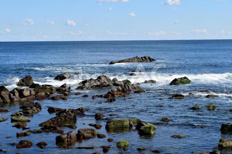 冬の海の風景 海,岩場,磯の写真素材