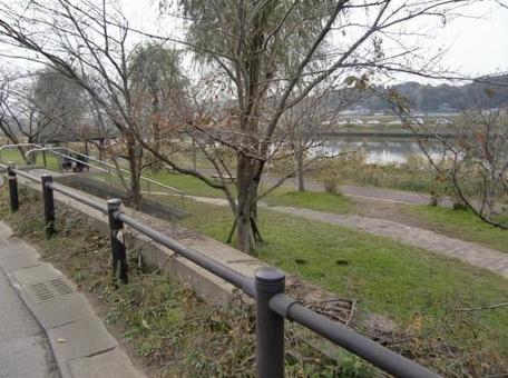 川岸-7 川岸-7 川岸,川,水面の写真素材