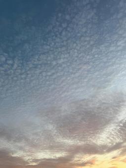 うろこ雲 うろこ雲,鱗雲,秋の写真素材