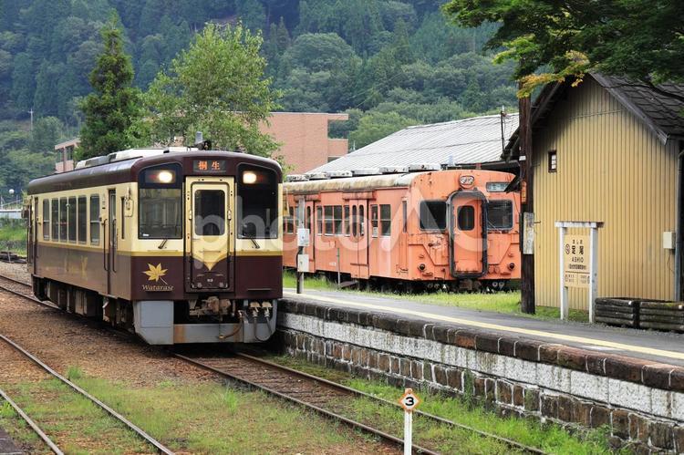 わたらせ渓谷鐡道　新旧顔合わせ ローカル線,ローカル,地方鉄道の写真素材