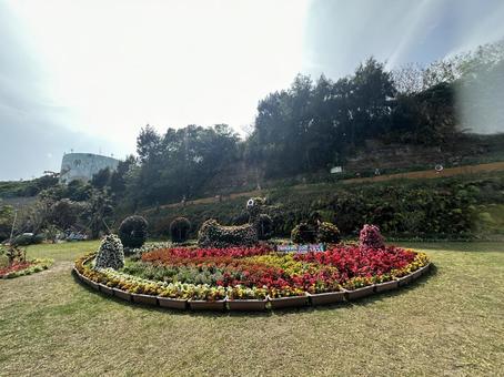 花壇 花壇の写真