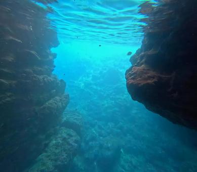 海の中のイメージ 海の中のイメージの写真