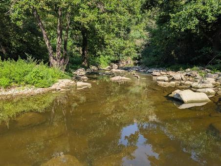 川 川 川,鏡,森の写真素材