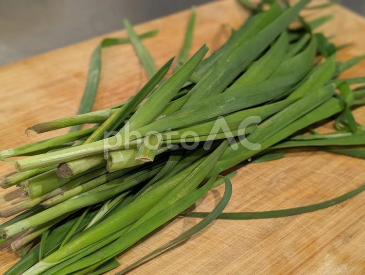まな板のうえのニラ ニラ,まな板,野菜の写真素材