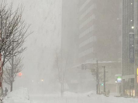 猛吹雪の市街 猛吹雪の市街の写真