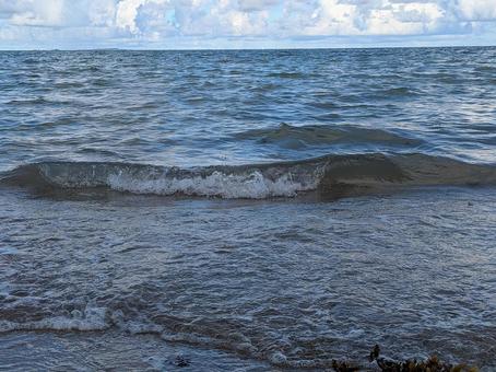 海 波 海 波の写真