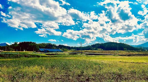 田舎の風景 田舎の風景の写真