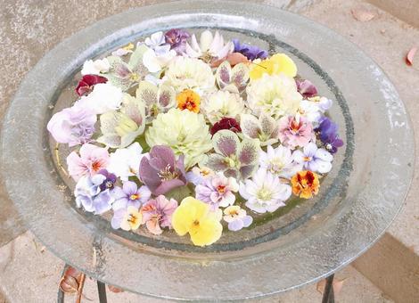 花 花の写真